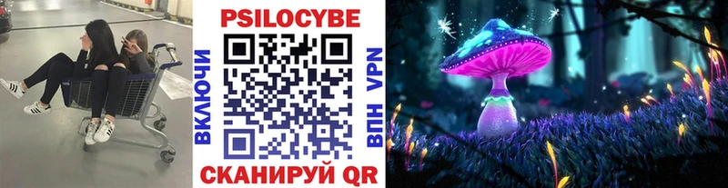Псилоцибиновые грибы Magic Shrooms  Выборг 