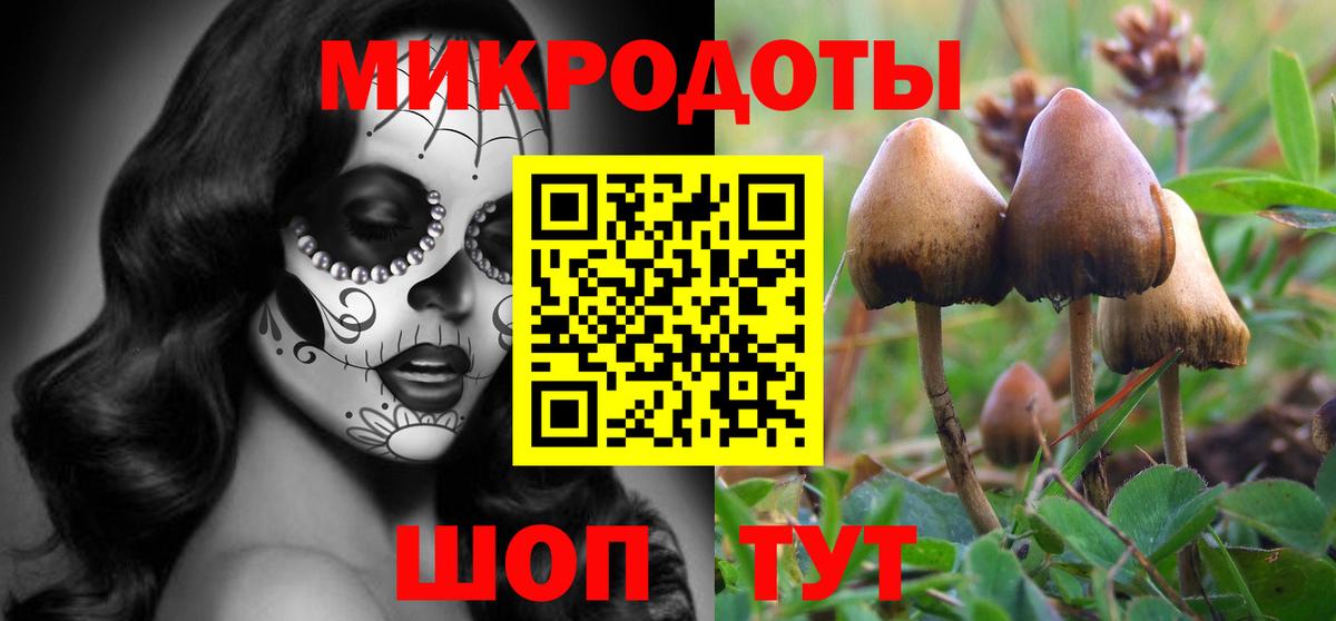 Галлюциногенные грибы Psilocybe  Вход с VPN  наркошоп  Выборг 