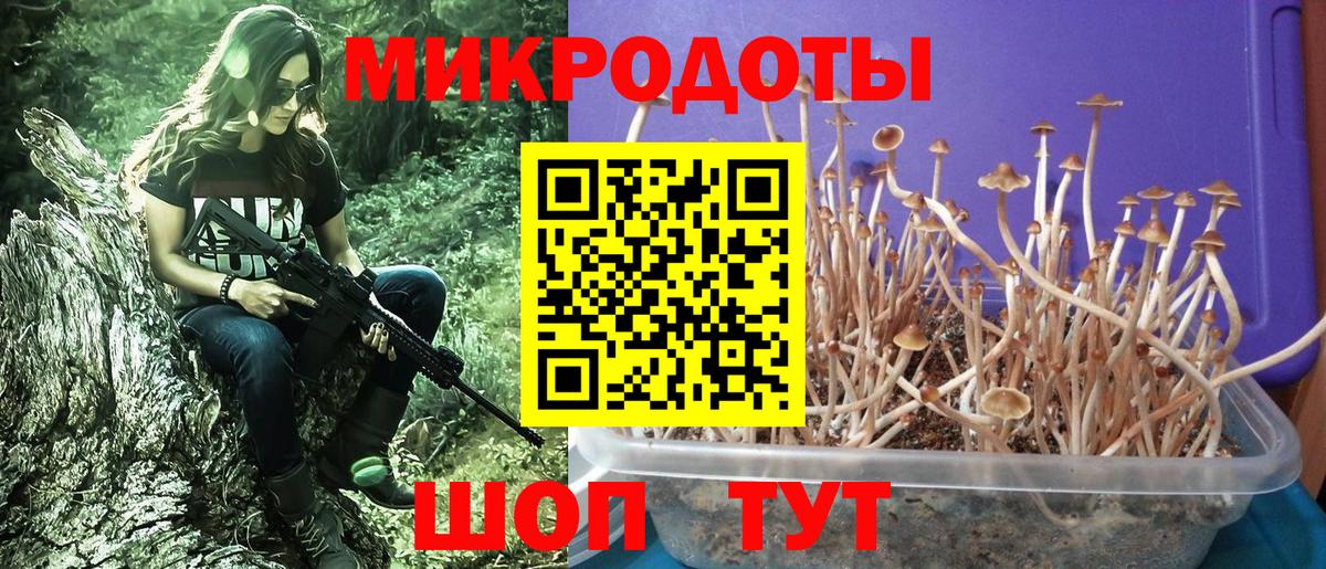 Псилоцибиновые грибы ЛСД Выборг