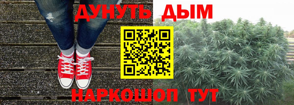 Бошки Шишки семена Выборг